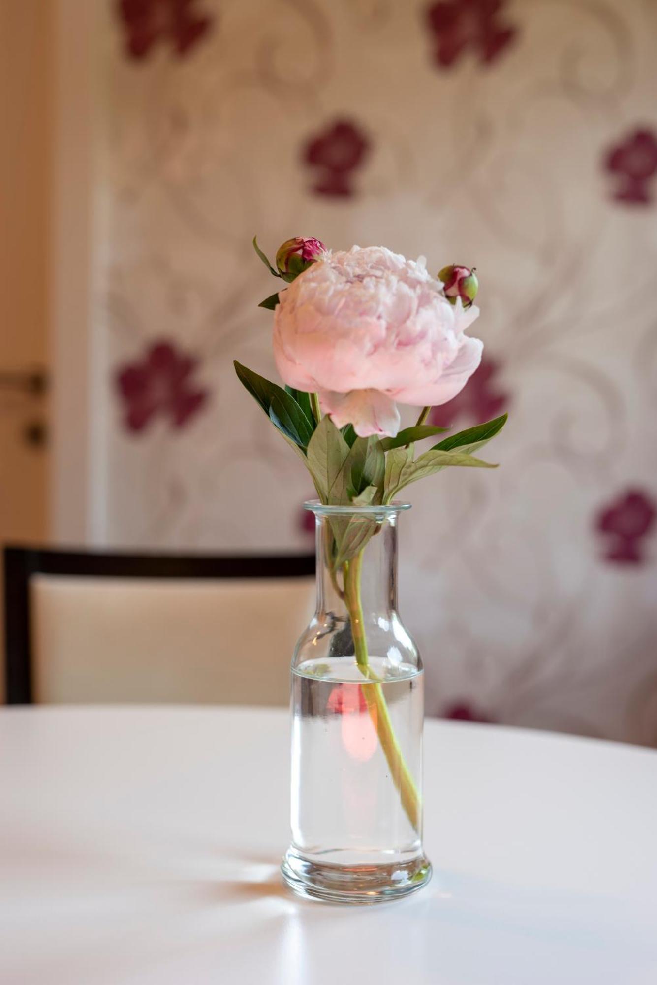 Hotel Alpen Arnika Tauplitzalm Екстер'єр фото