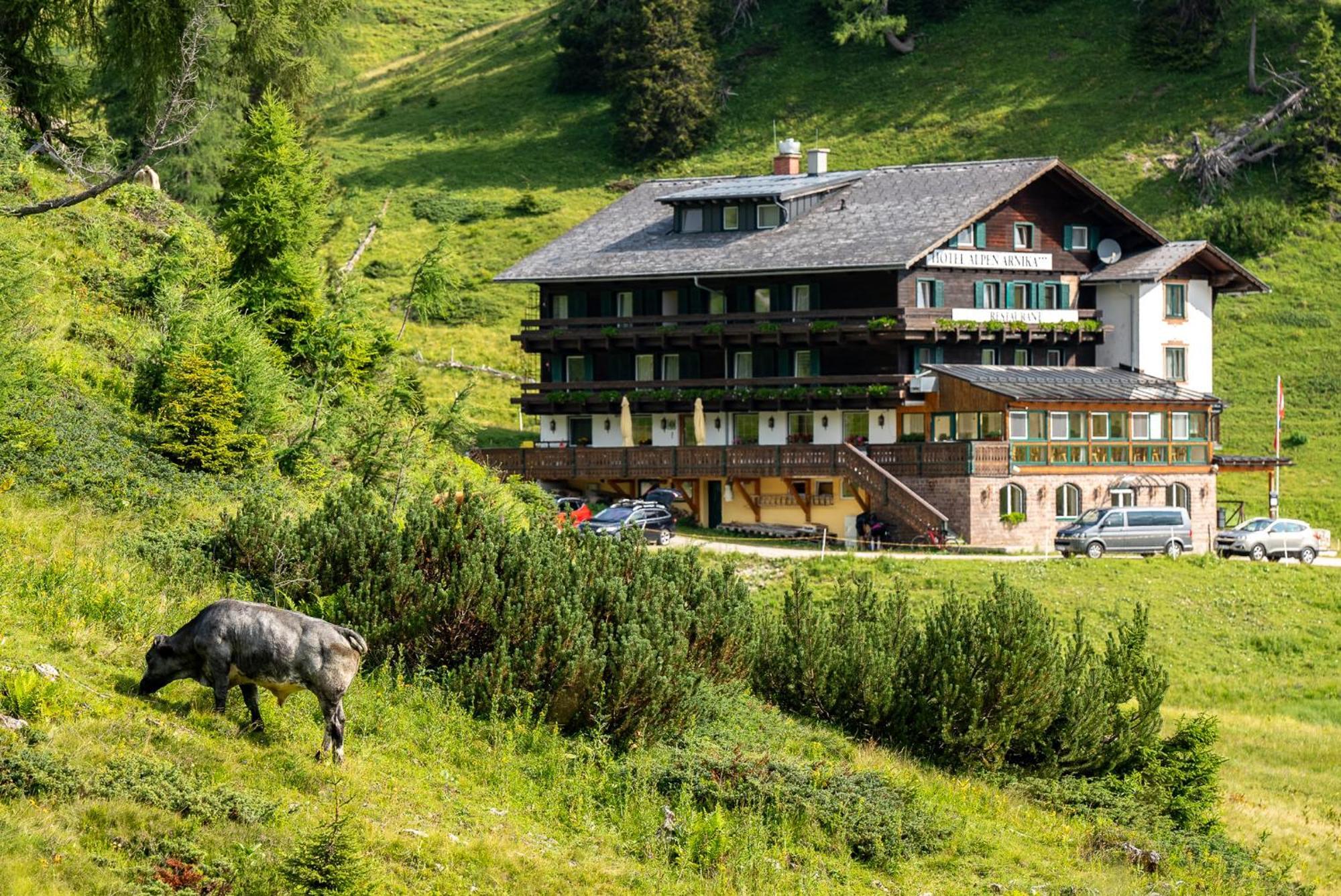 Hotel Alpen Arnika Tauplitzalm Екстер'єр фото